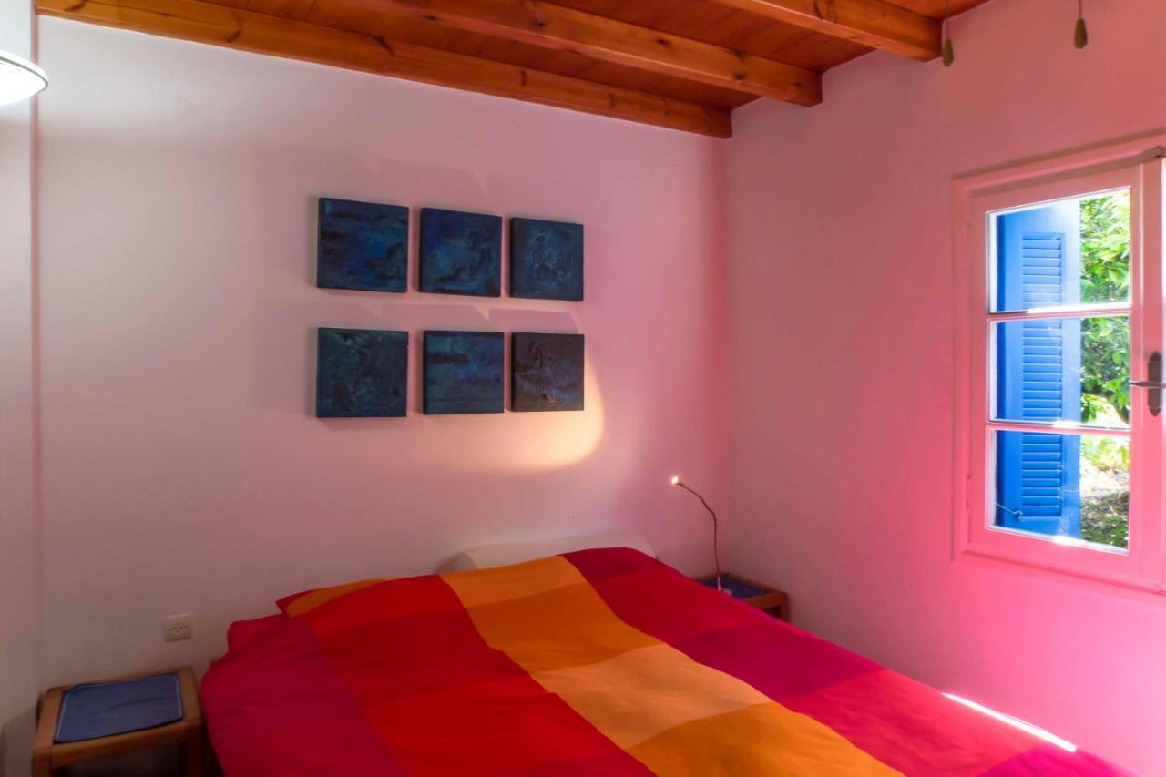 Phlea Farm Studios Алинда Экстерьер фото
