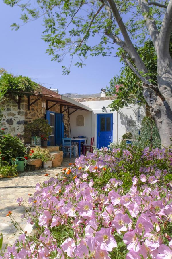 Phlea Farm Studios Алинда Экстерьер фото
