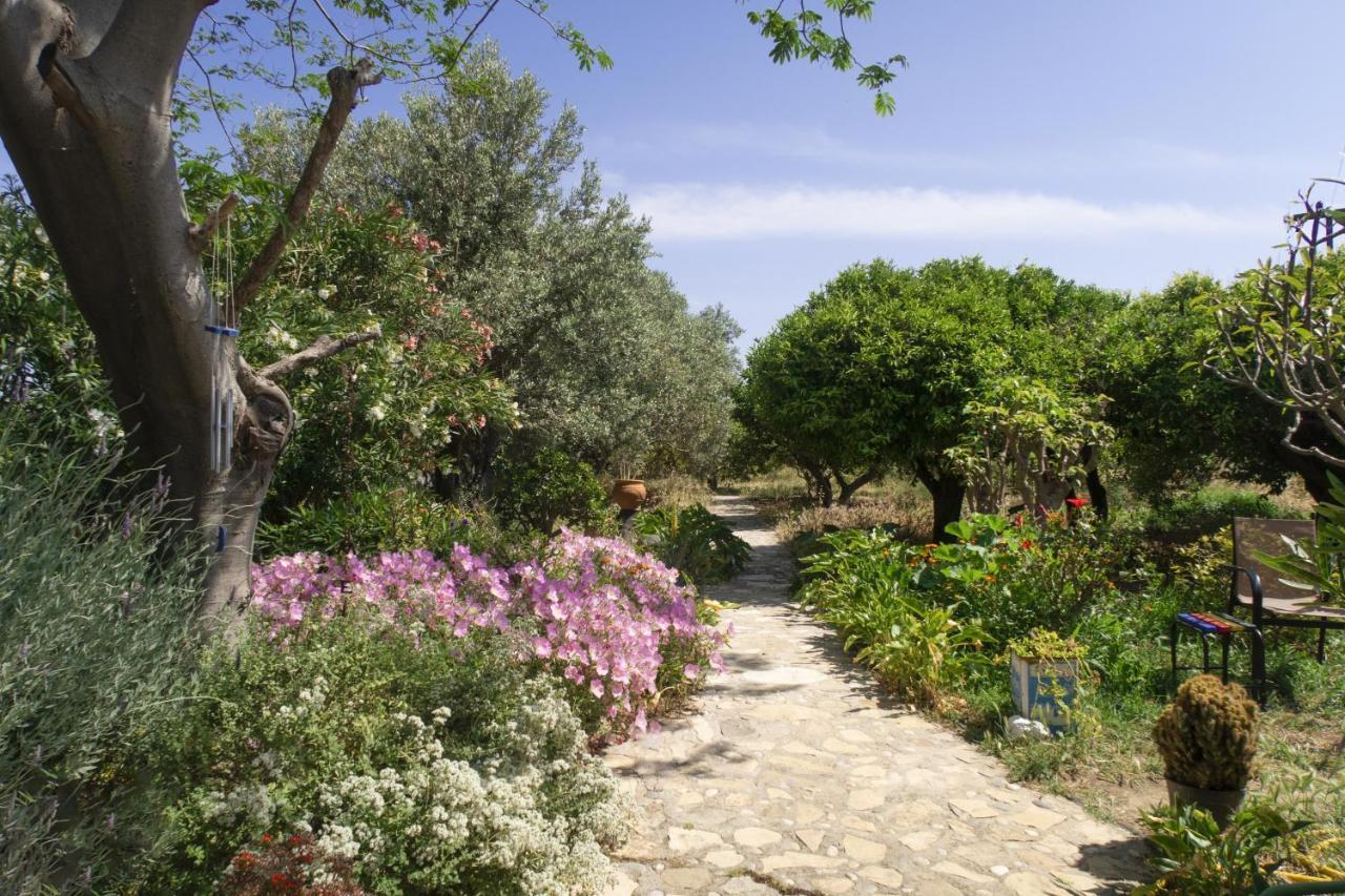Phlea Farm Studios Алинда Экстерьер фото